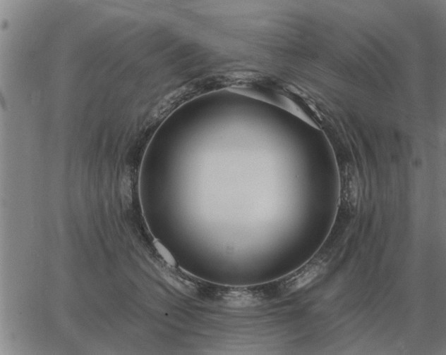 X0000062880562200601201823