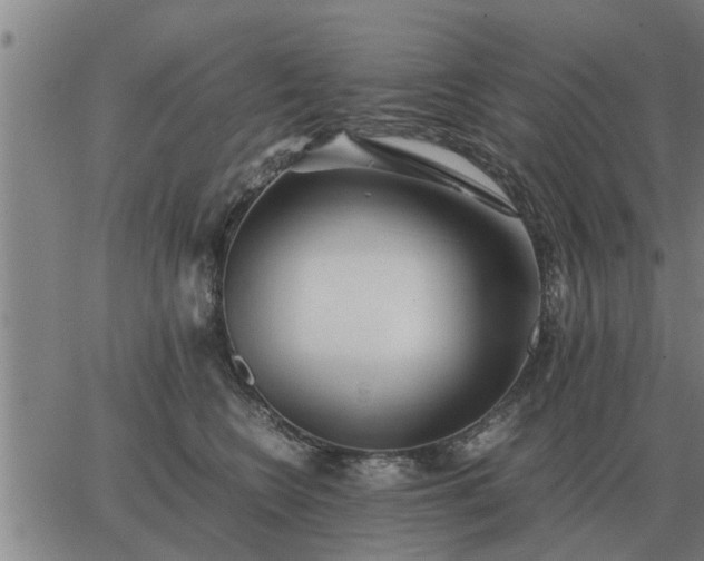 X0000062880566200601201823