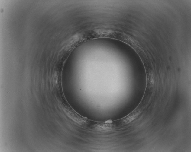 X0000062880567200601201823