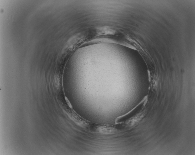 X0000062880568200601201823