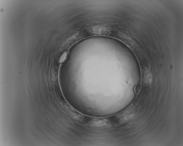 X0000062880569200601201823