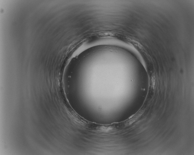 X0000062880570200601201823