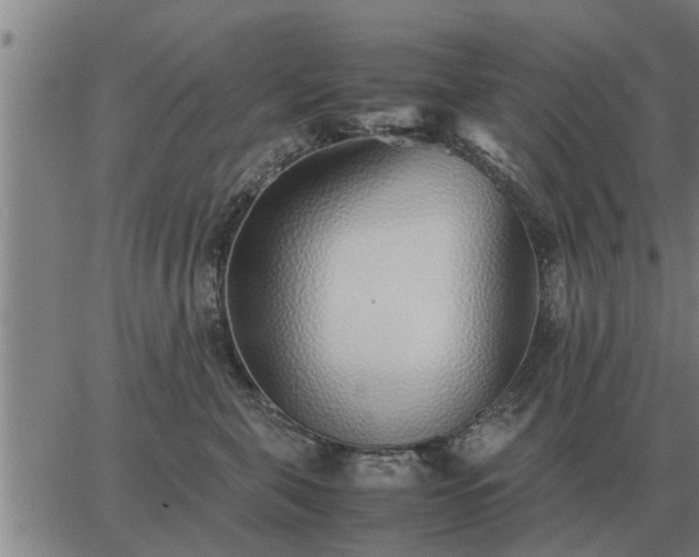 X0000062880571200601201823