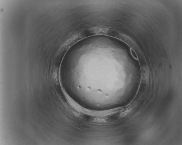 X0000062880573200601201823