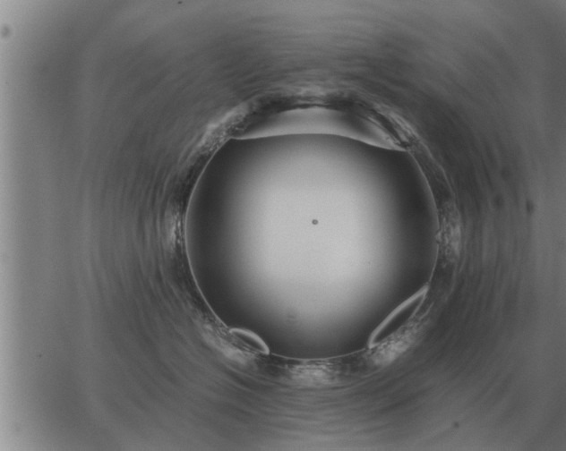 X0000062880574200601201823