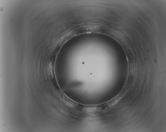 X0000062880575200601201823