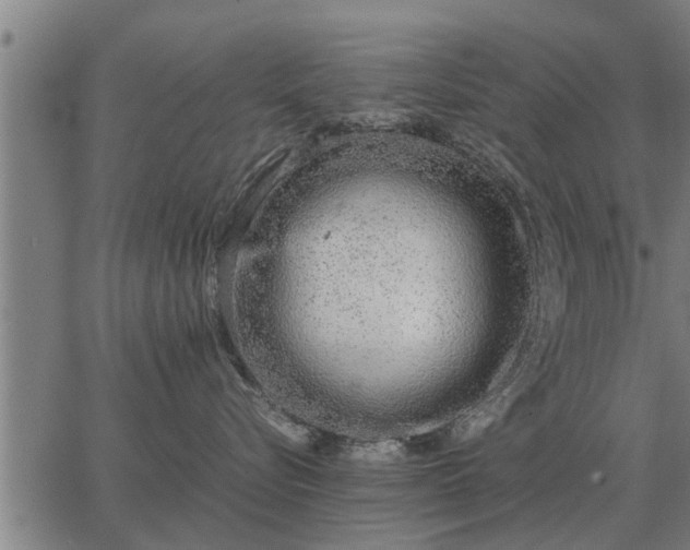 X0000062880576200601201823