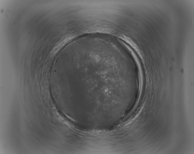 X0000062880577200601201822