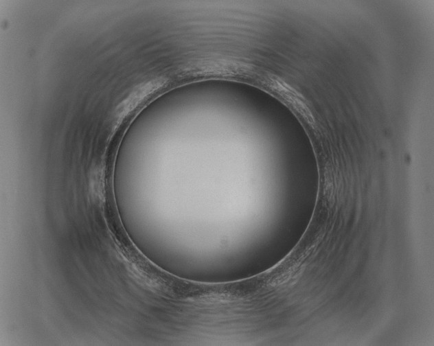 X0000062880578200601201822