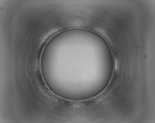 X0000062880579200601201822