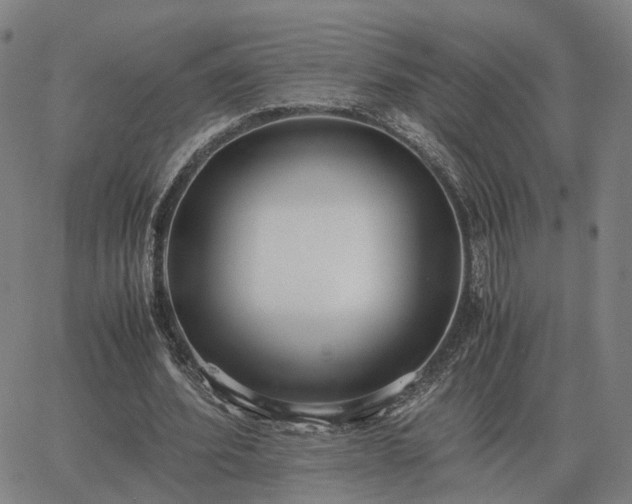 X0000062880580200601201822