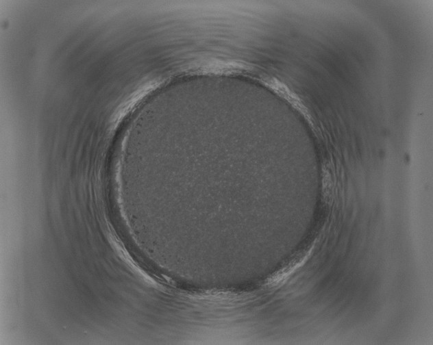 X0000062880581200601201822