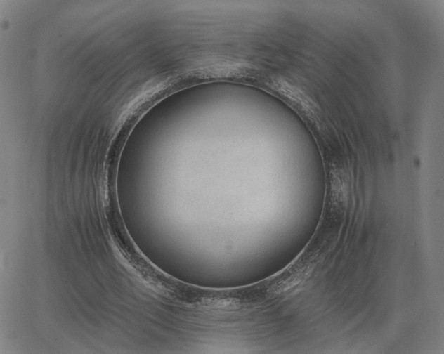 X0000062880582200601201822