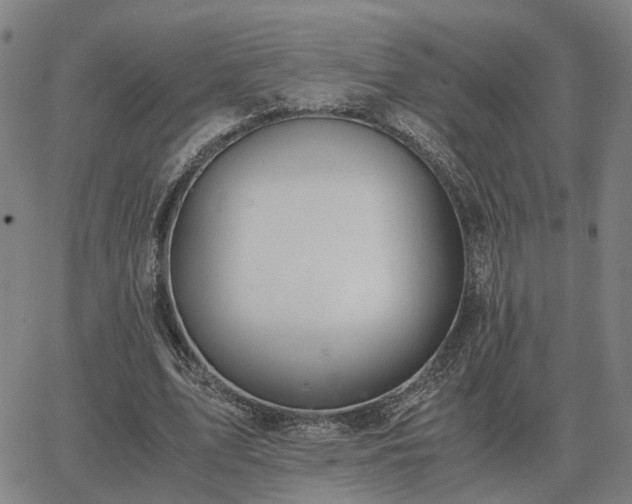 X0000062880583200601201822