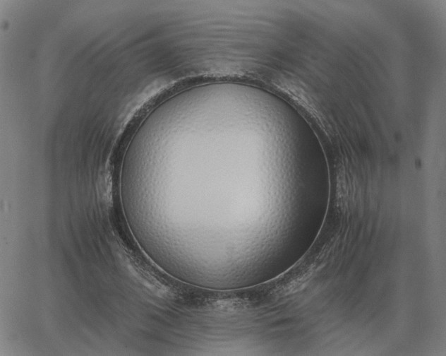 X0000062880584200601201822