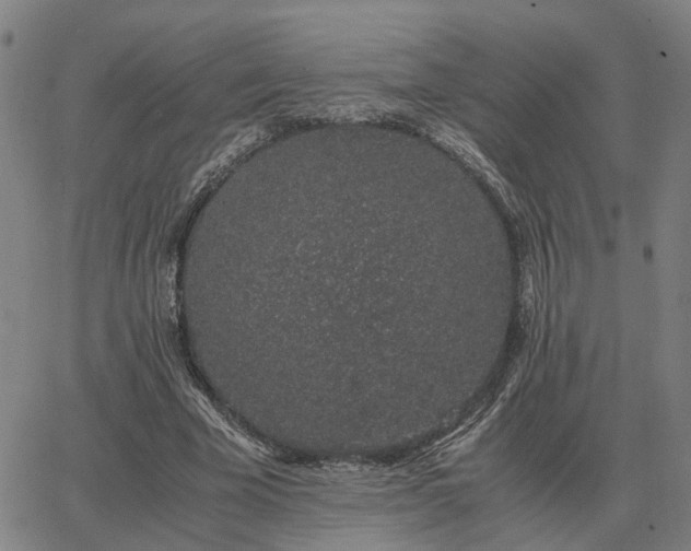 X0000062880585200601201822