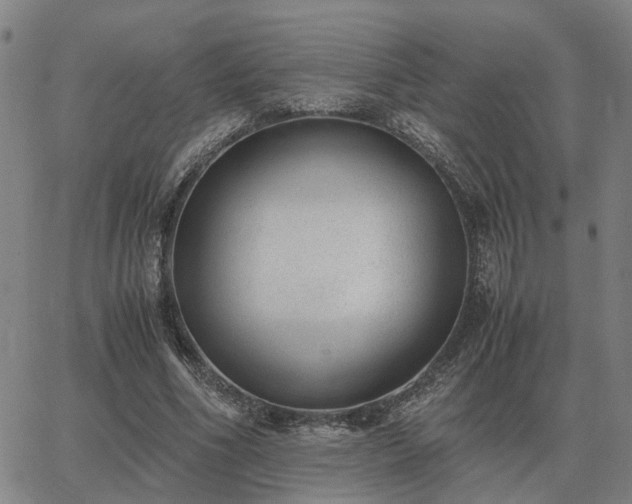 X0000062880586200601201822