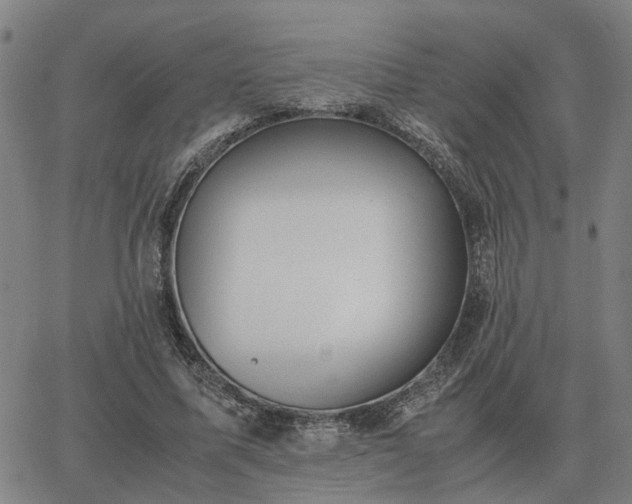 X0000062880587200601201822