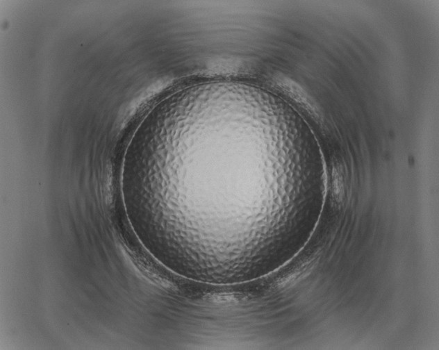 X0000062880588200601201822