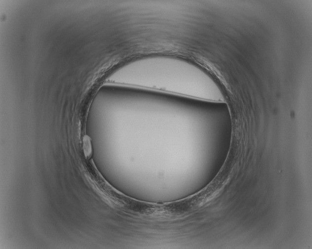 X0000062880589200601201822