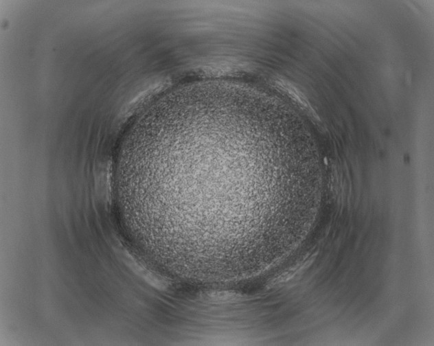 X0000062880590200601201822