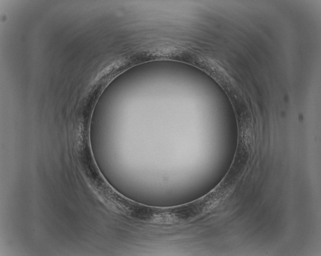 X0000062880591200601201822