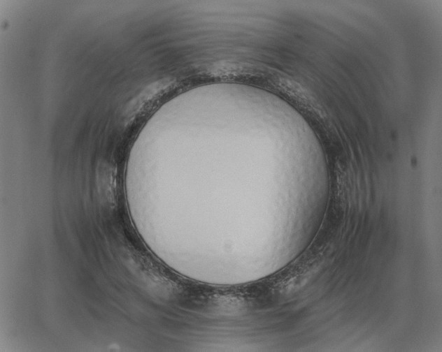 X0000062880592200601201822