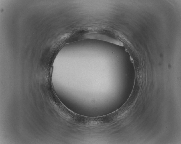 X0000062880593200601201822