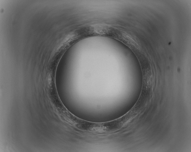 X0000062880595200601201822