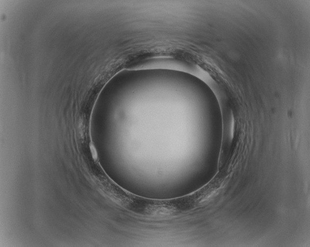 X0000062880597200601201822