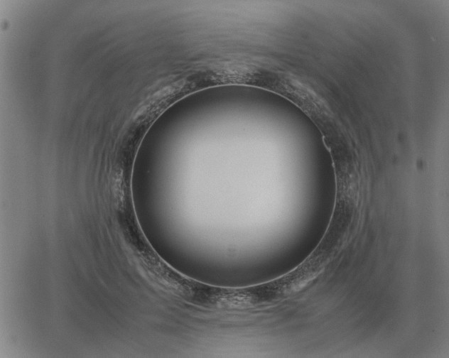 X0000062880599200601201822