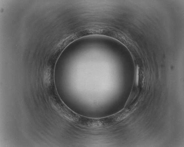 X0000062880600200601201822