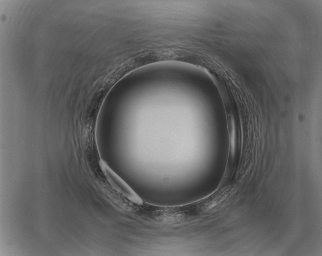 X0000062880601200601201822