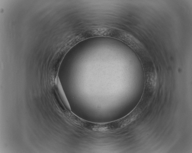 X0000062880602200601201822