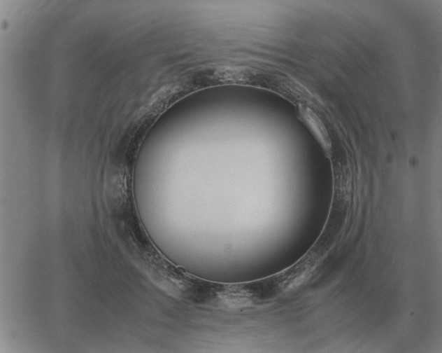 X0000062880603200601201821