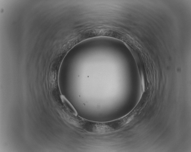 X0000062880605200601201821