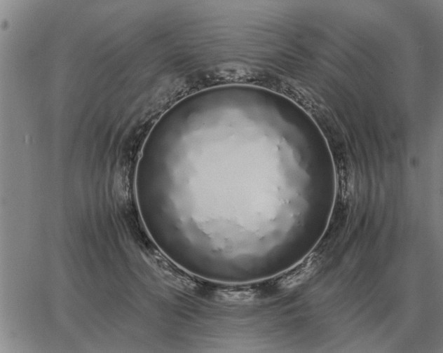 X0000062880606200601201821