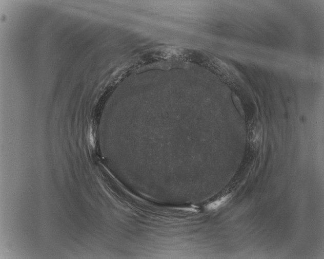 X0000062880607200601201821