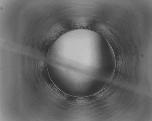 X0000062880608200601201821