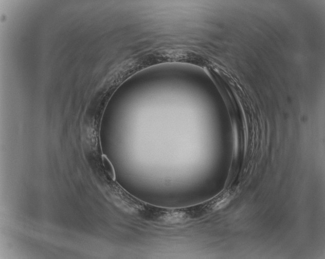 X0000062880609200601201821