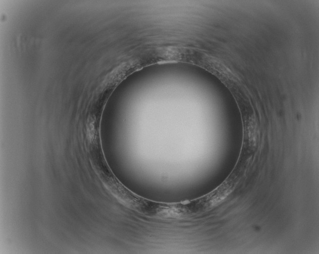 X0000062880611200601201821