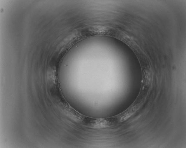 X0000062880612200601201821