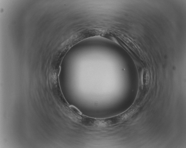 X0000062880613200601201821