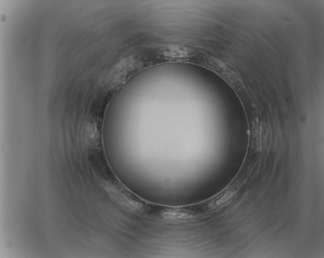 X0000062880614200601201821