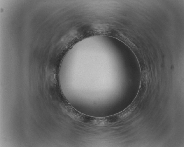 X0000062880615200601201821