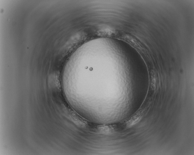 X0000062880616200601201821