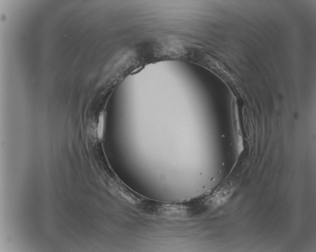 X0000062880617200601201821