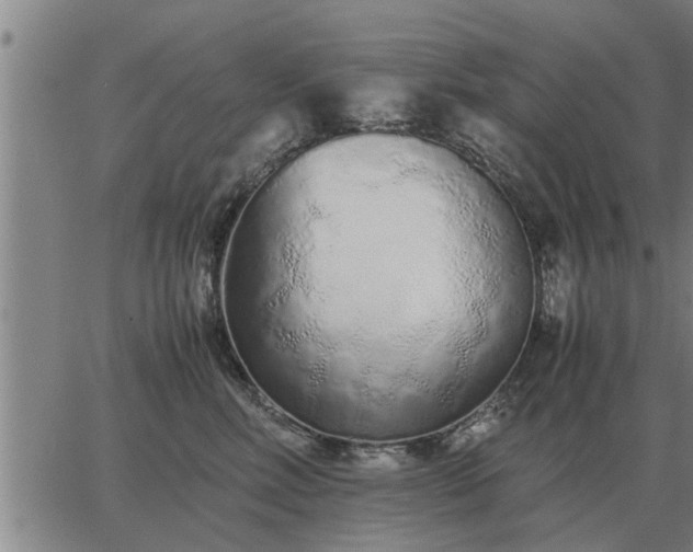 X0000062880618200601201821