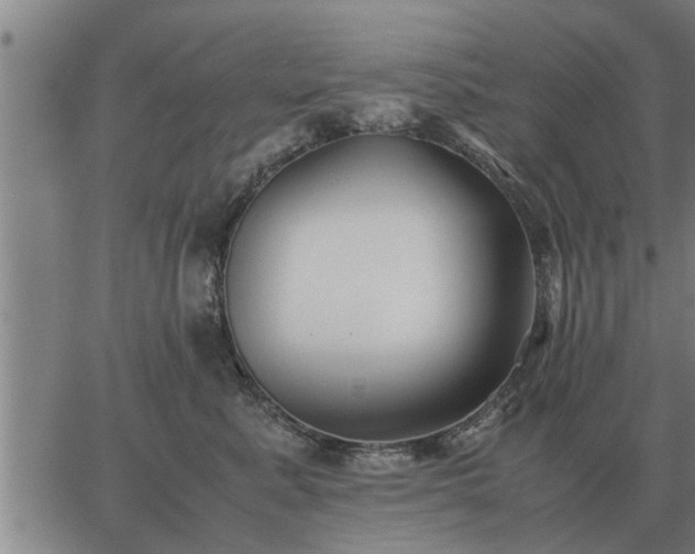 X0000062880619200601201821