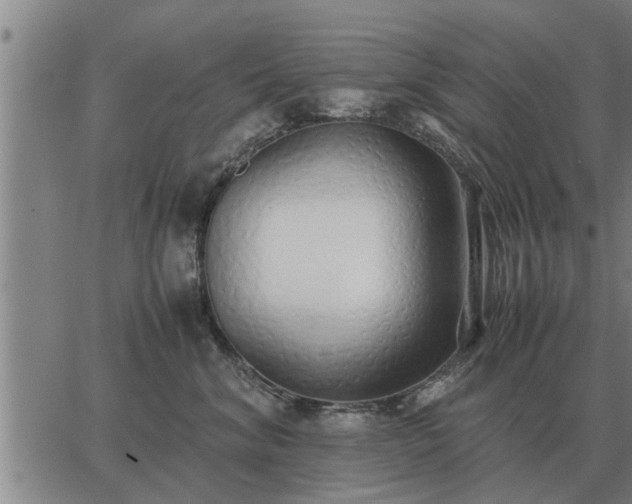 X0000062880620200601201821